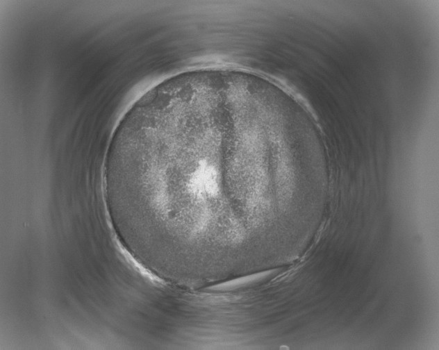 X0000080741239200701021138