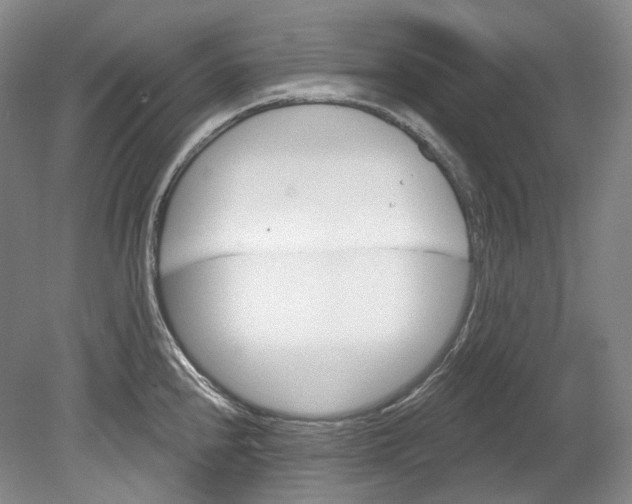 X0000080741240200701021138