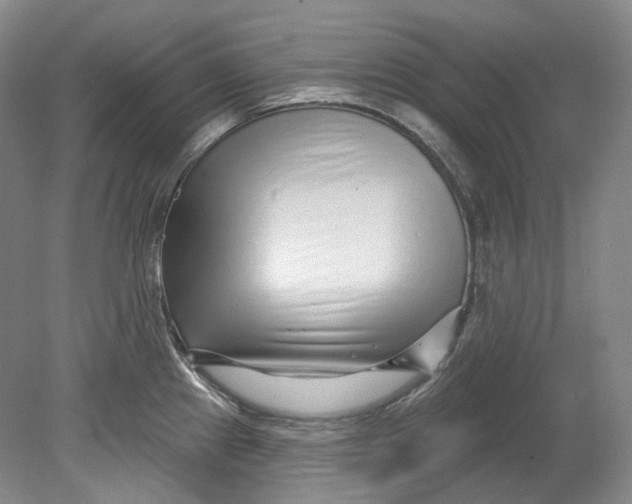 X0000080741241200701021138