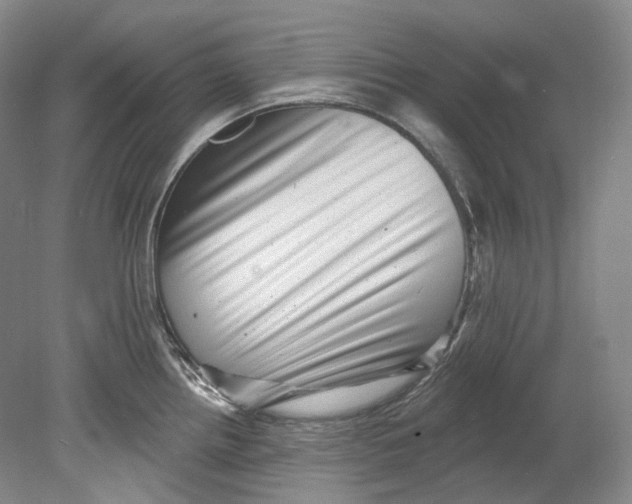 X0000080741242200701021138