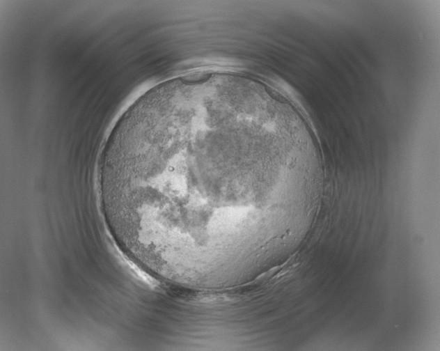 X0000080741243200701021138