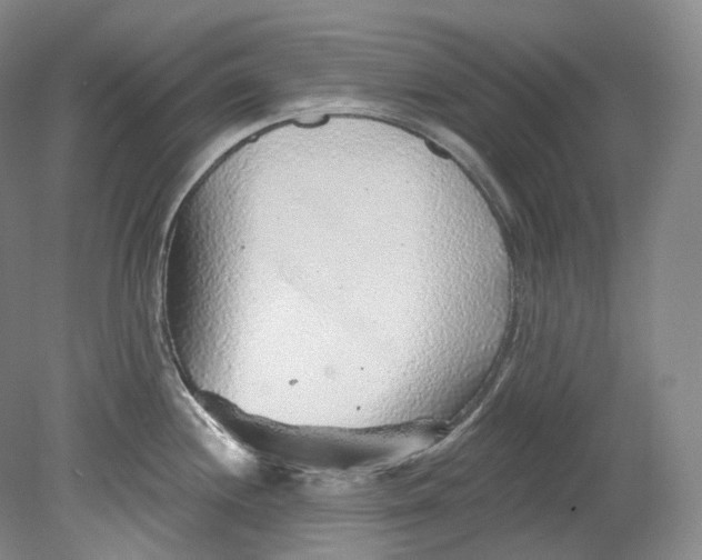 X0000080741244200701021138