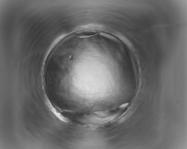 X0000080741248200701021138