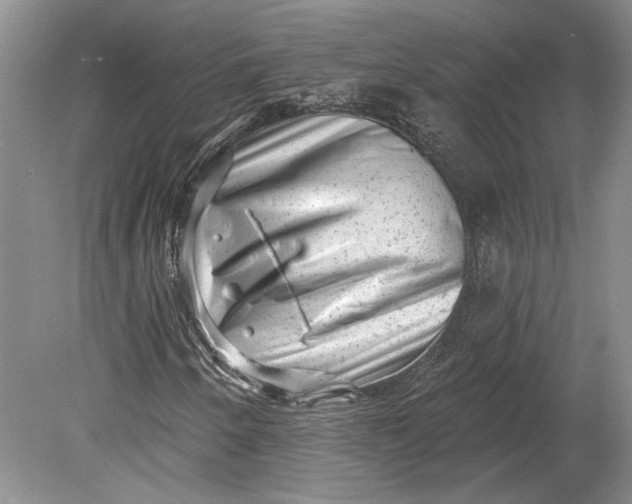 X0000080741250200701021138