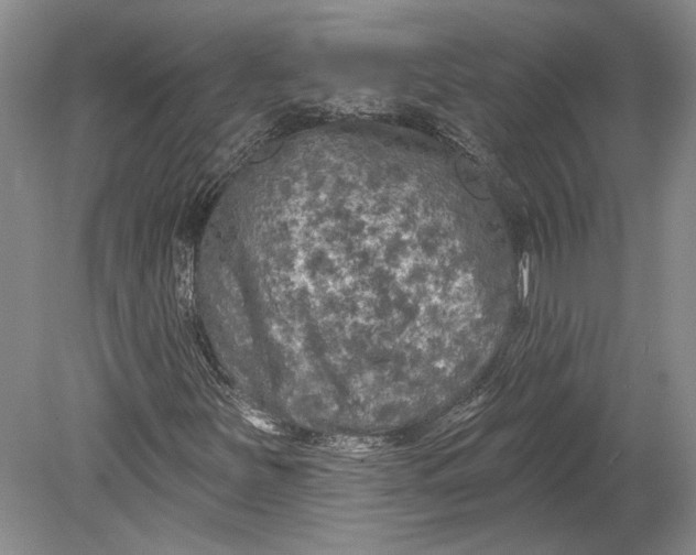 X0000080741251200701021138