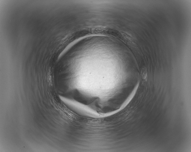 X0000080741252200701021138