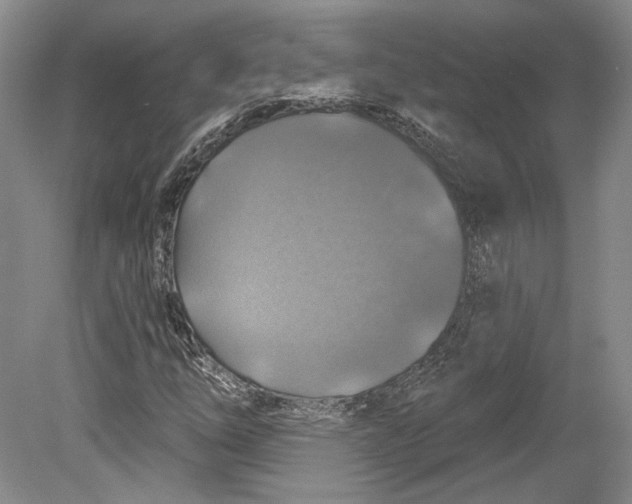 X0000080741254200701021138