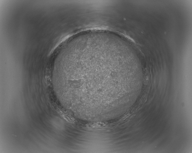 X0000080741255200701021137