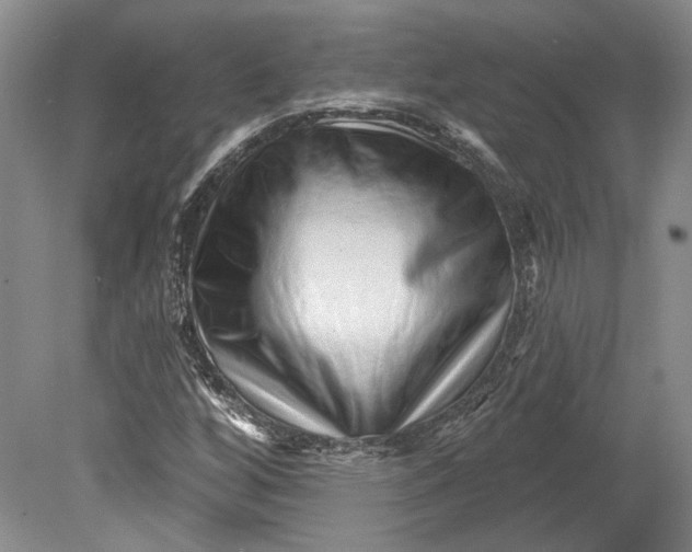 X0000080741256200701021137