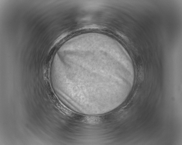 X0000080741258200701021137