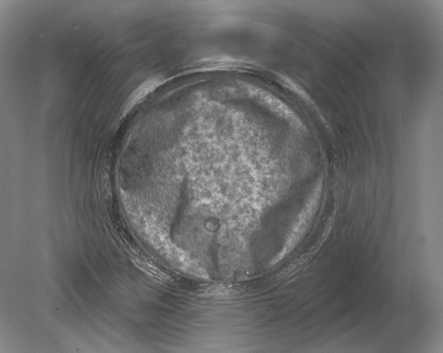 X0000080741259200701021137