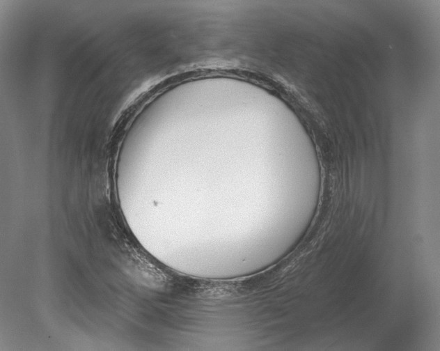 X0000080741262200701021137