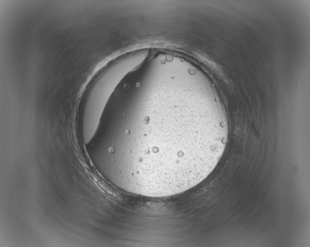 X0000080741264200701021137