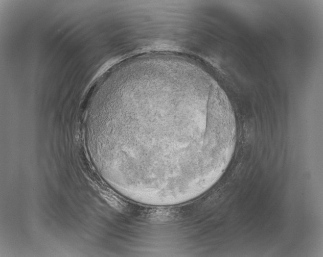 X0000080741266200701021137