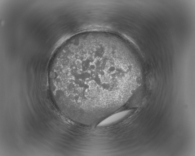 X0000080741267200701021137