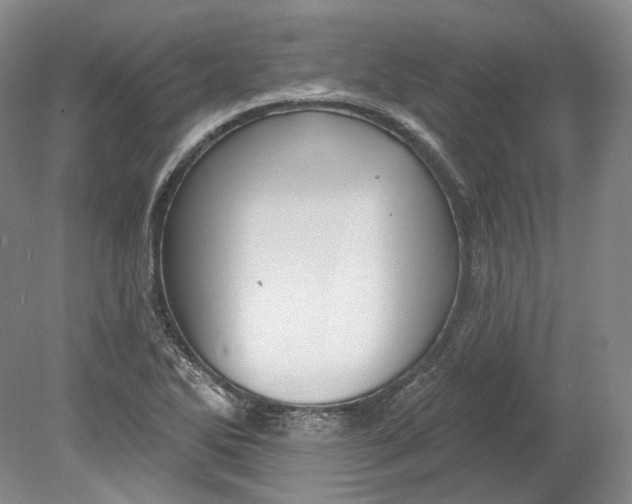 X0000080741270200701021137