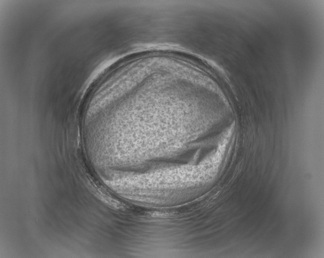 X0000080741271200701021137