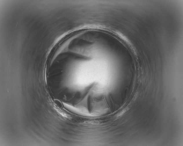 X0000080741272200701021137