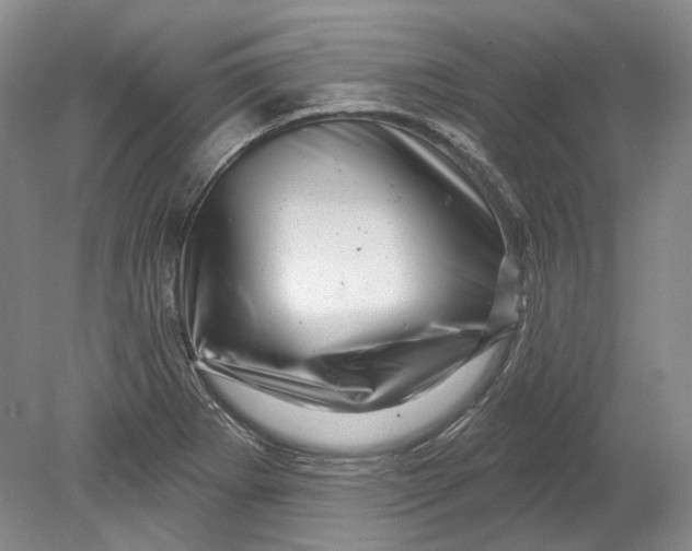 X0000080741273200701021137