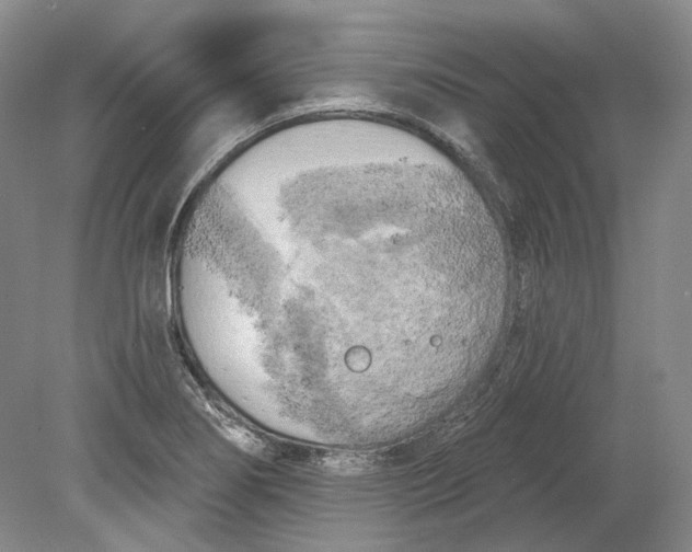 X0000080741274200701021137