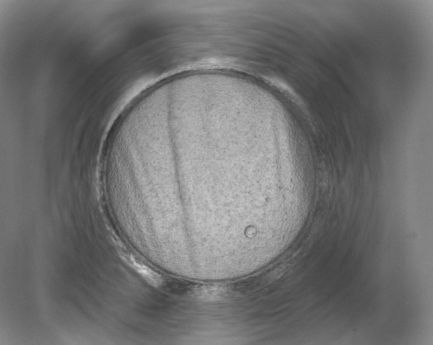 X0000080741278200701021137