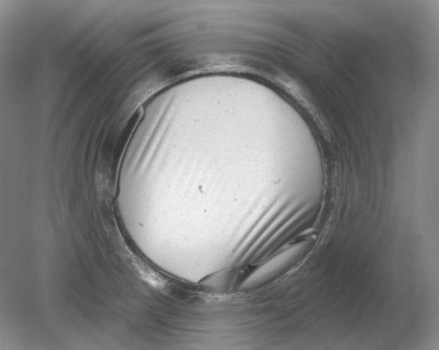 X0000080741281200701021137