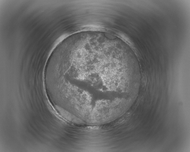 X0000080741283200701021137