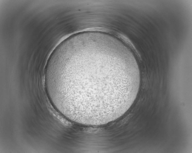 X0000080741284200701021137