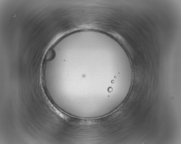 X0000080741286200701021137