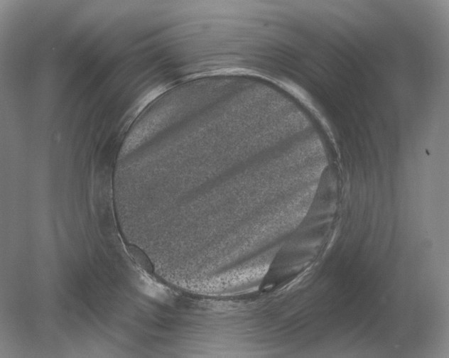 X0000080741289200701021137