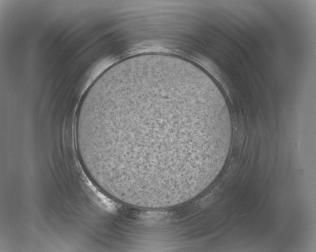 X0000080741290200701021137