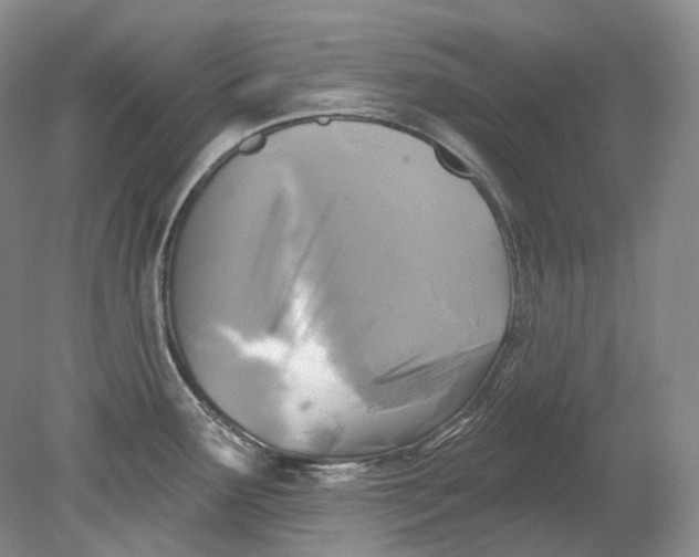 X0000080741291200701021137