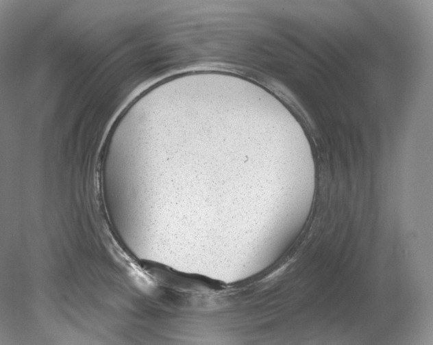 X0000080741292200701021137