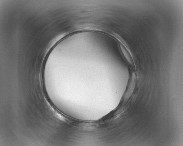 X0000080741293200701021137