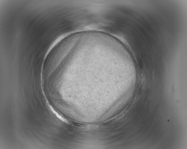 X0000080741294200701021137