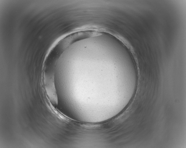 X0000080741296200701021137