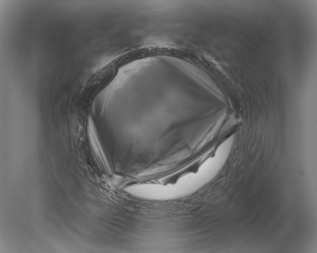 X0000080741303200701021136