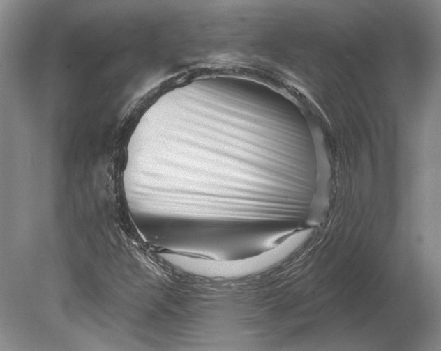 X0000080741304200701021136