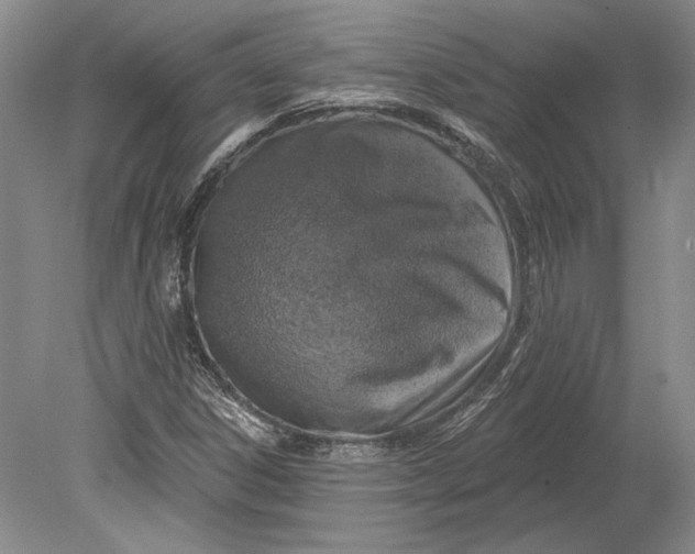 X0000080741306200701021136