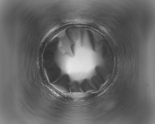 X0000080741307200701021136