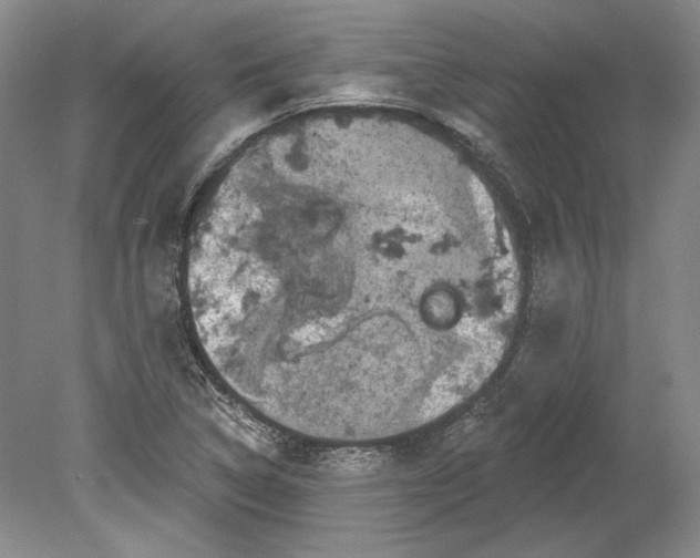 X0000080741314200701021136