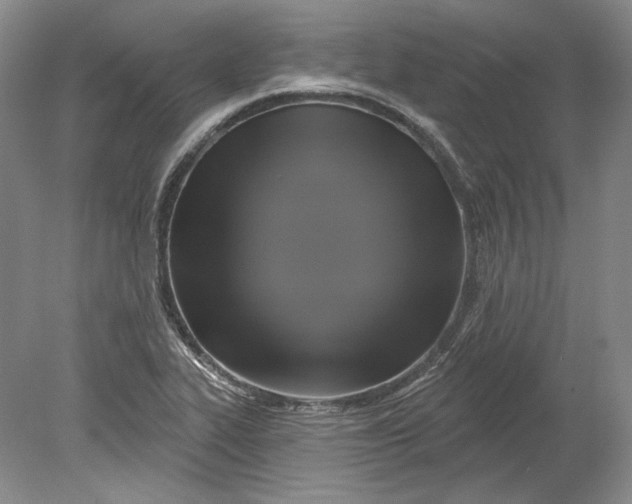 X0000080741319200701021136