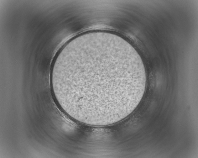 X0000080741322200701021136