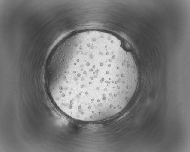 X0000080741325200701021136