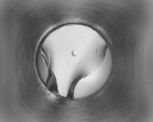 X0000080741326200701021136