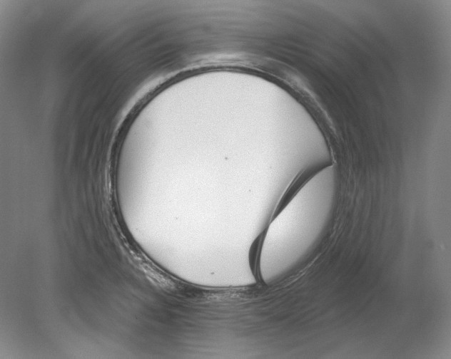 X0000080741328200701021137