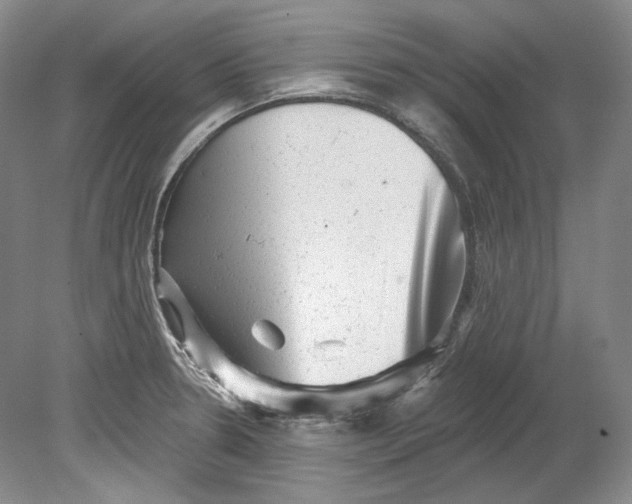 X0000080741330200701021137