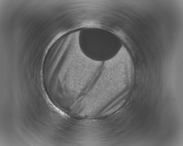 X0000080741331200701021137