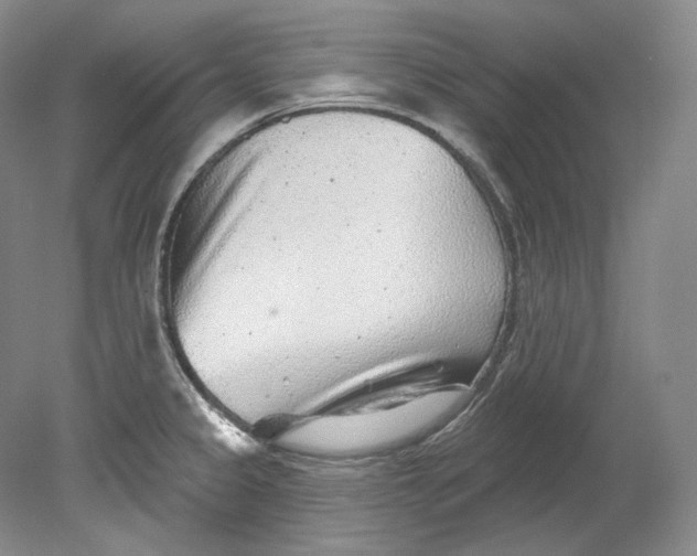 X0000080741333200701021137