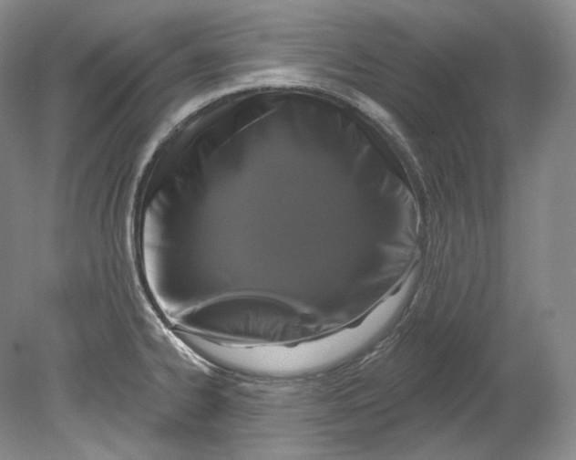 X0000080741334200701021137